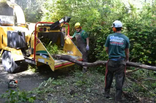 tree services McDonough